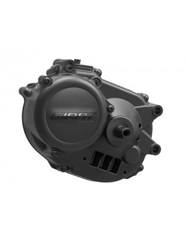 Moteur Giant SyncDrive Life