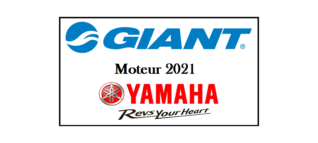 Giant Moteur Yamaha